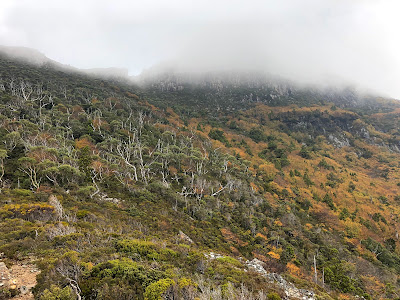 クレイドル・マウンテン（Cradle Mountain）