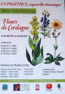 Cartell: Exposition/aquarelles botanique/Fleurs de Cerdagne d'Elena Coffe-Marijchuk al Musée Cerdà per Teresa Grau Ros