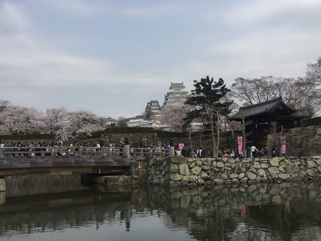 Travelog Japan, Spring: Himeji Castle dan Amanohashidate