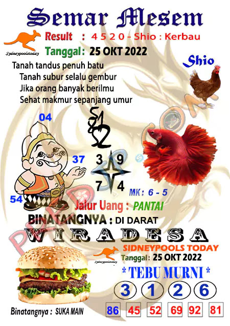 Prediksi Semar Mesem SDY Hari Ini JP 25 Oktober 2022