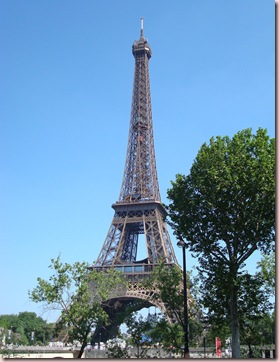 DSC02504 - Copie