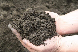 भारतीय मृदा का वर्गीकरण,Indian soil types,Indian soils classification,भारतीय मृदा (Indian soils),जलोढ़ मिट्टी, gk in Hindi, Progkstudy