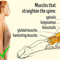 This Exercise Will Perfect Your Posture, Exercise #3 Is Miracle!