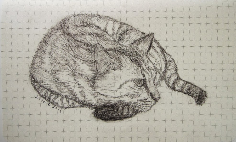 最も好ましい 猫 イラスト リアル ボールペン 最も好ましい 猫 イラスト リアル ボールペン