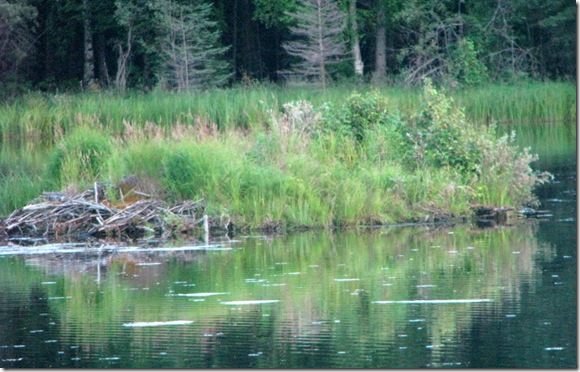 Beaver Den 7-31-2011 8-37-59 PM 3008x1921