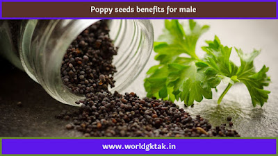 Poppy seeds benefits for male