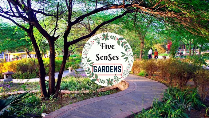  Awaken Your Senses: A Journey Through the Garden of Five Senses