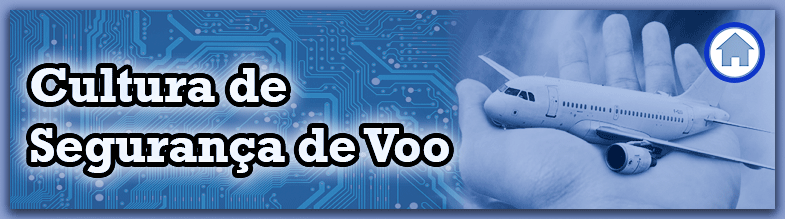 CULTURA DE SEGURANÇA DE VOO