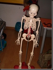 ossos