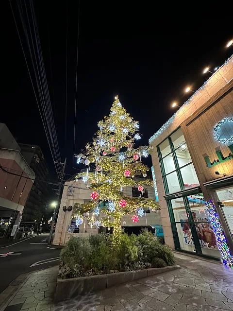 L.L.Bean吉祥寺店のクリスマスツリー 2023