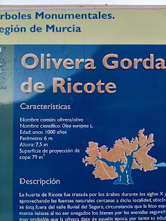 Ciclismo Elche El Plá Rutas ciclistas Palatinosa Carbohidrato asimilacion lenta Rompiendo paradigmas Cieza Floración 