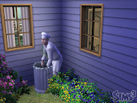 sims3