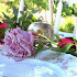 Romantic Picnic