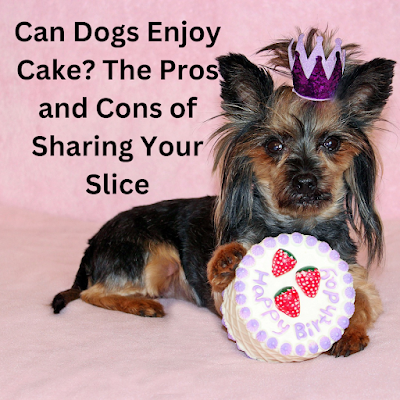 can dogs enjoy cake