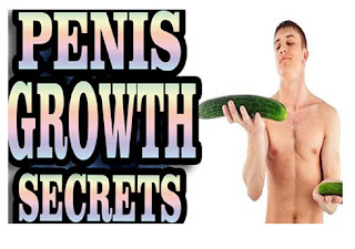 Pe Supersizer - Natural Penis Enlargement Secrets is a product which Naturally Increase Penis Size. Men are so conscious about the size of their penis like women are conscious about the size of her breasts. Men with small penises shy to wear swimsuits and feel less secure in their sexual spice. embarrassed to discuss this with their friends feel, but are constantly in search of solution to solve your problem. PE supersizer offers the perfect solution for all your problems. There are many products on the market, but not all of them are authentic and not all of them are effective. Supersizer PE is effective or a scam