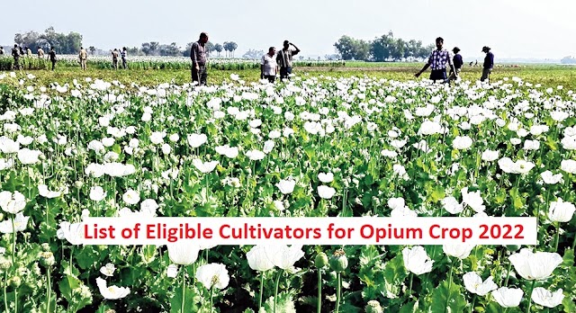 List of Eligible Cultivators for Opium Crop 2022 (cbn.nic.in) | अफीम पट्टा लिस्ट PDF