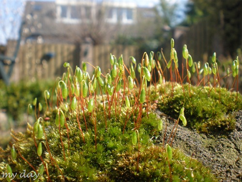 april2010 030