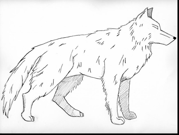 Fantastic Realistic Wolves Coloring Pages With Wolves Coloring Pages And Wolves  Coloring Pages Printable