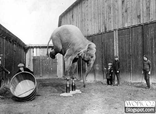 Wierd Stunt