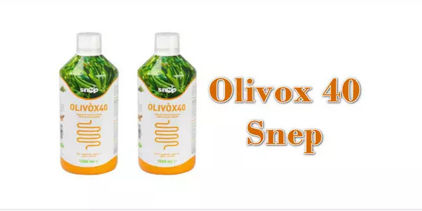 Olivox 40 Snep Infuso Naturale