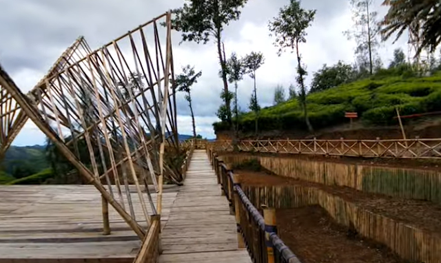 Keindahan Tersembunyi Ranca Bolang di Ciwidey