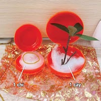 1 chỉ và 1 cây