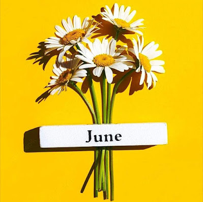 Hello June, June 2023, New month, New beginning, New mindset, New focus, New start, New intentions, New result, Hello June .. Chapter 6 Of 12