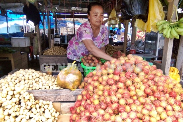  Rambutan  Aceh  dan Binjai Terkenal di Sulawesi Tenggara 