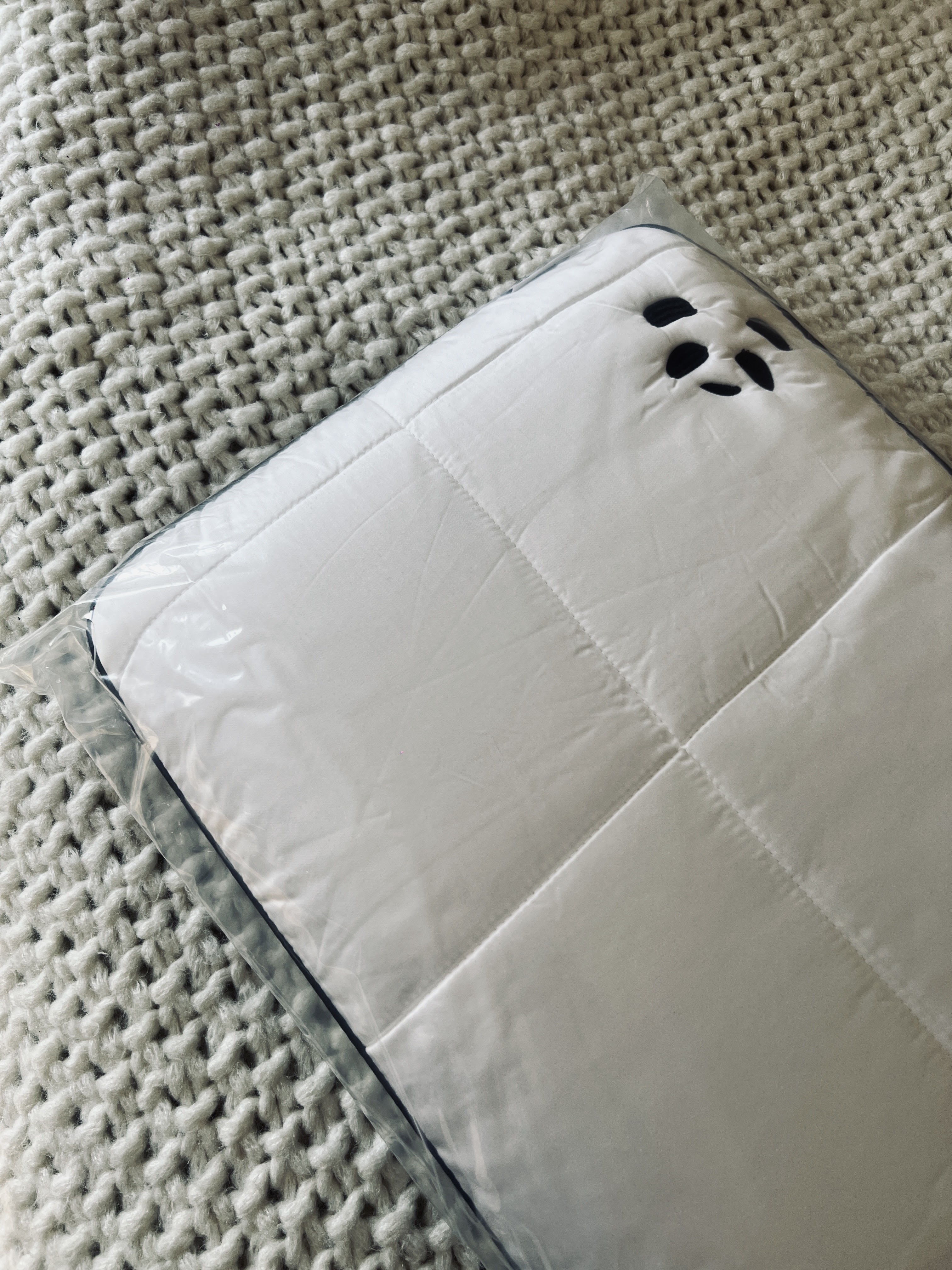 Panda Bamboo Pillow