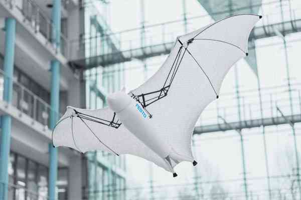 Bionic Flying Fox