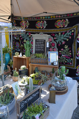 cactus, succulents, garden planters, succulent planters, Miami succulents, gardening, nature, plants, Miami, Miami garden business, garden design, watercolor paintings, art, cactus art, cactus painting