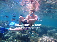 foto berenang di karimunjawa