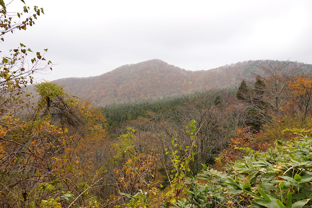 鳥取県道45号倉吉江府溝口線（大山環状道路）　からの眺望