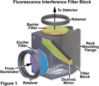 Barrier Filter