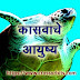 कासवाचे आयुष्य | The life of a turtle