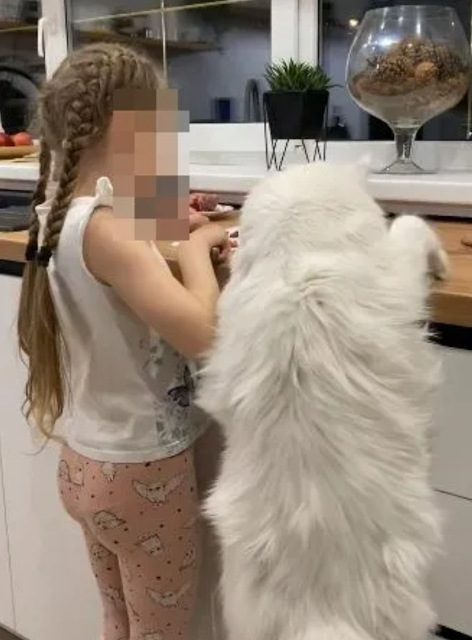 Woman claims she lives with the world's largest domestic cat