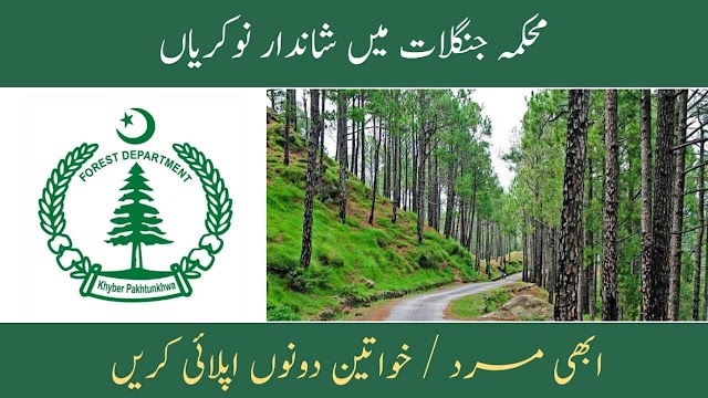 Latest Forest Department Jobs Shangla 2023