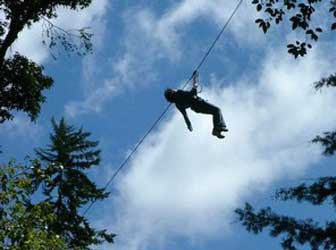 Bali Tree Top