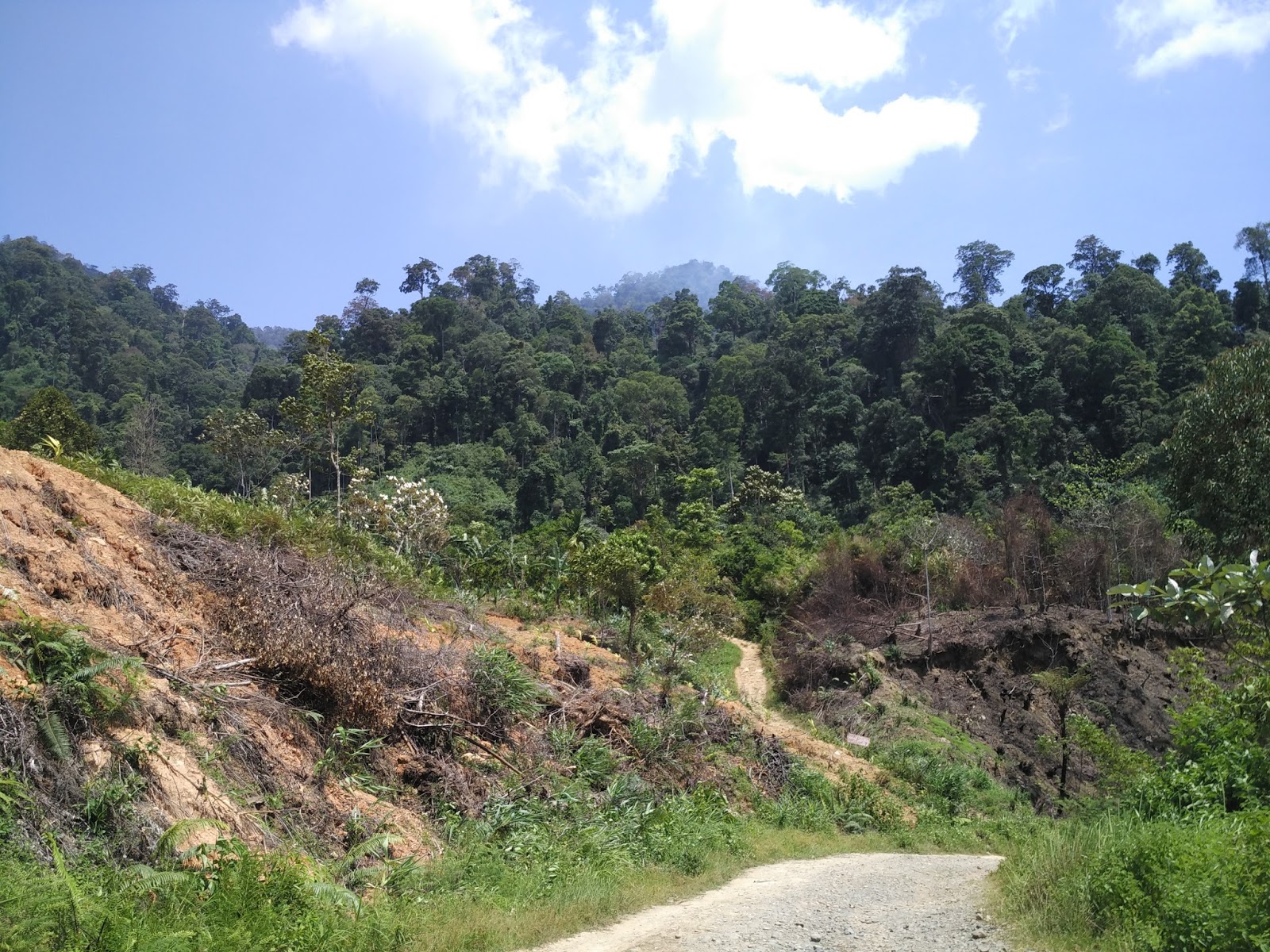 Air Terjun 7 Tingkat Lubuk  Minturun 