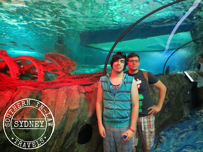 Sydney SEA LIFE Aquarium Review