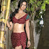 Telugu Actress Meenakshi Dixit Hot Photos