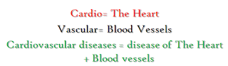 Cardio Vascular