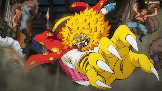 ワンピースアニメ 1032話 ネコマムシ | ONE PIECE Episode 1032