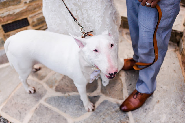 Cloisters Castle Wedding | Photos by Heather Ryan Photography