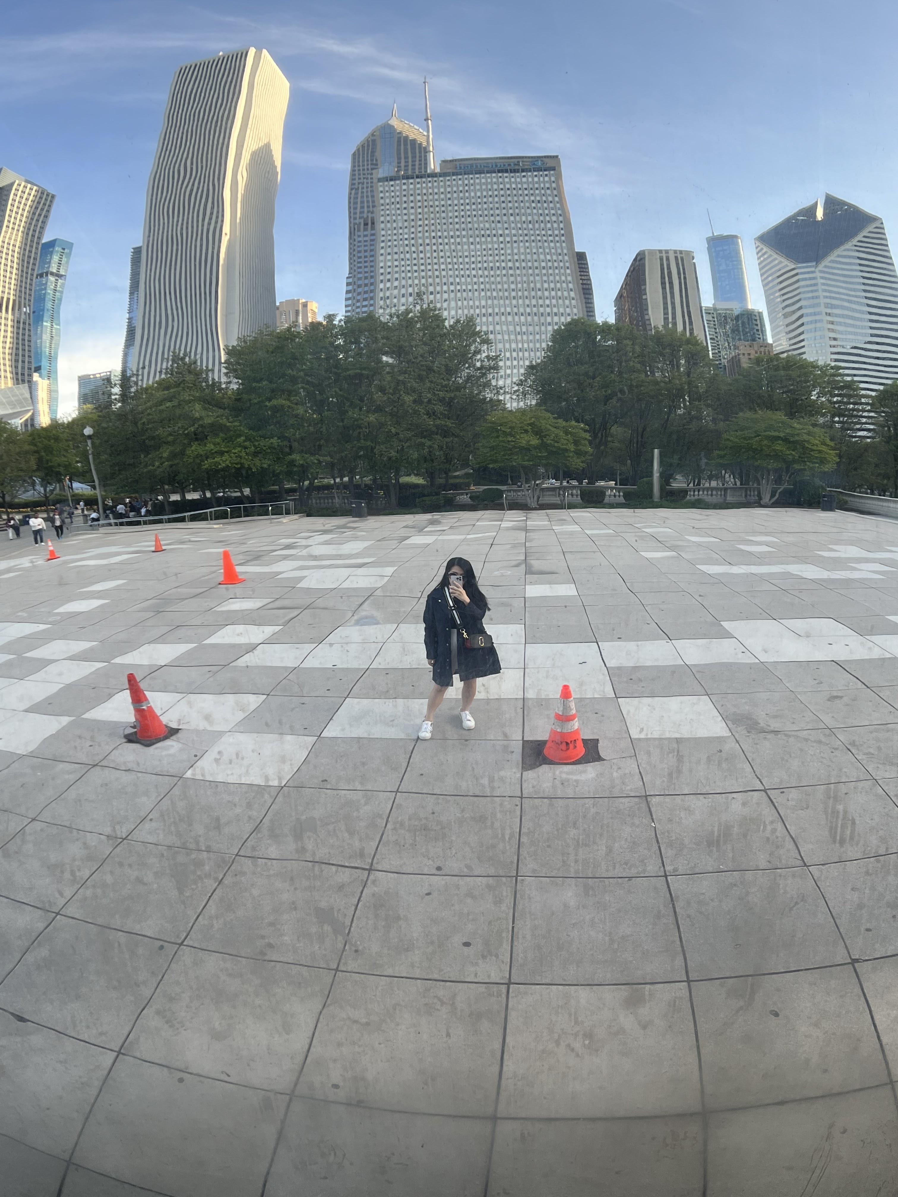 The Bean in Millennium Park_Adrienne Nguyen_Old Money Outfit for Cold Weather_Chicago Blogger_Tulips in CHicago