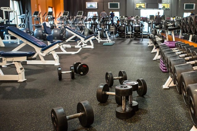 Fitness Guide