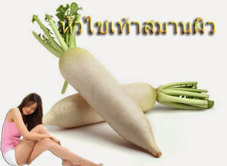 หัวไชเท้าสมานผิว