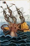 La Biblioteca del Kraken (Sílvia Romero i Olea)