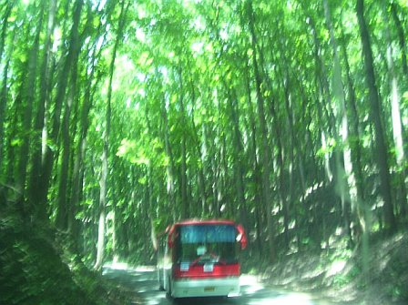 Bohol Island Phi.