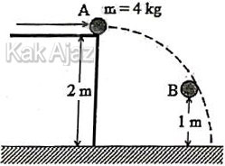 Energi mekanik bola pada ketinggian 1 m, soal fisika UN 2019 no. 6